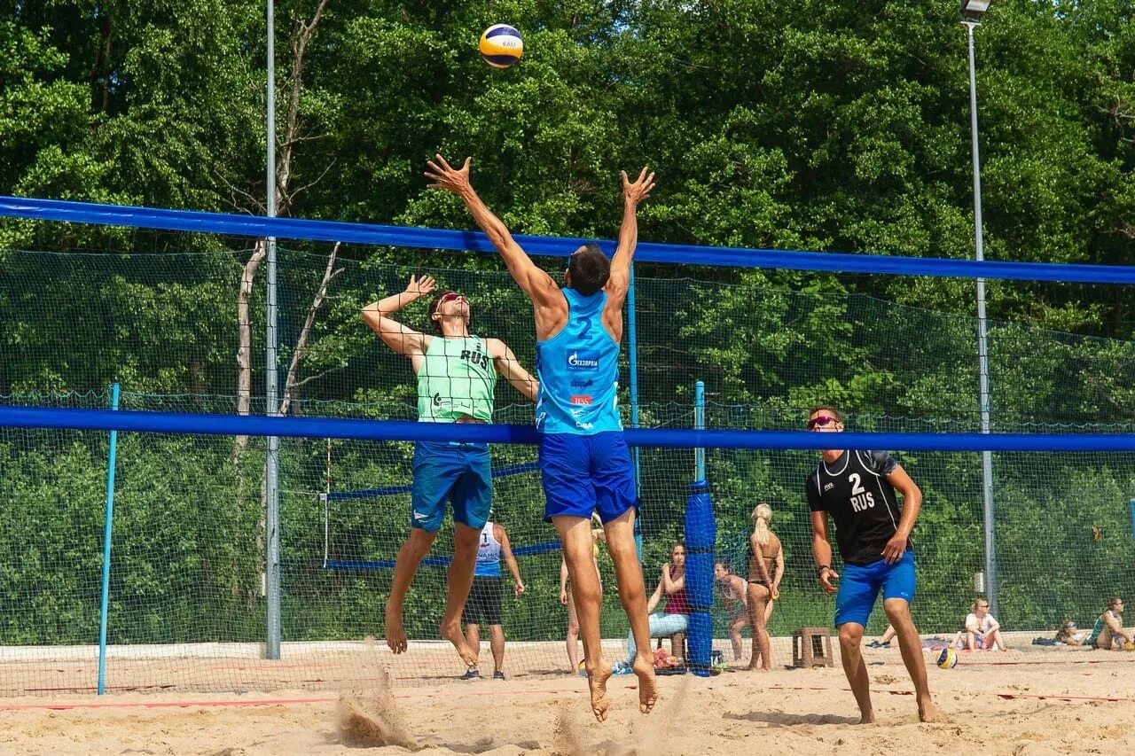 Пляжный клуб. Пляжный клуб «Fox Beach». Fox Volley волейбол. Fox beach