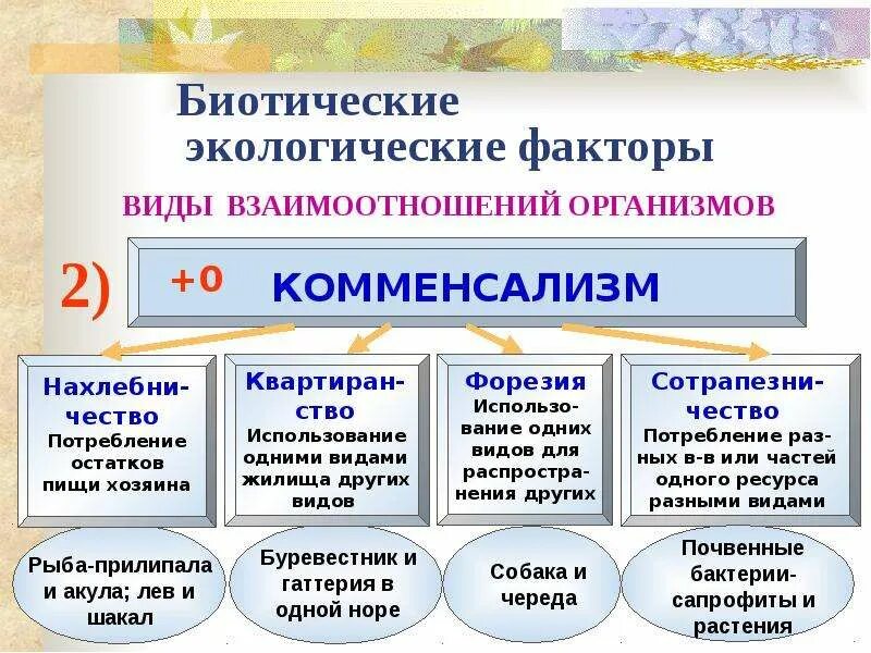 Биотические экологические факторы. Виды биотических экологических факторов. Экологические факторы биотические факторы. Биотические факторы виды отношений. Биотические взаимодействия