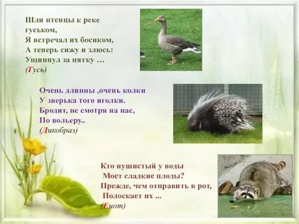Что означает идти гуськом