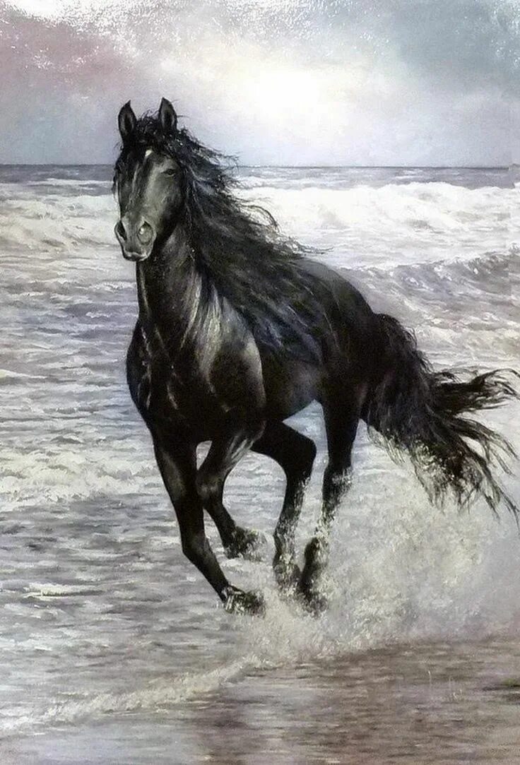Черный конь скачет. Хуан Фортуни. Мустанг-иноходец. Художник Хуан Фортуни картины. Хуан Фортуни лошадь.