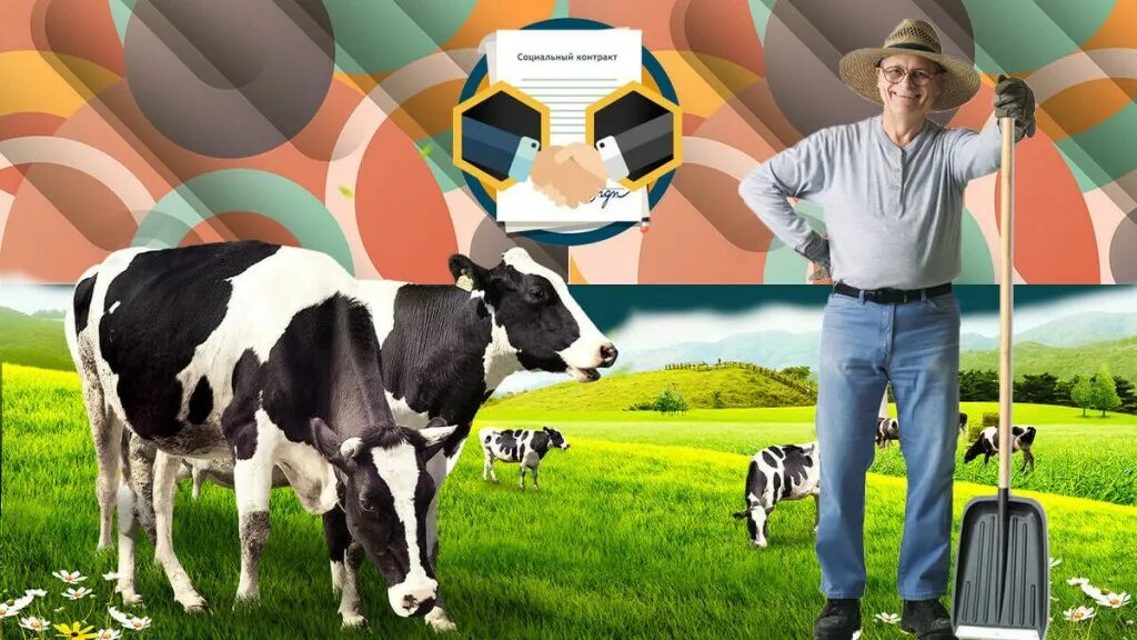 соцконтракт на личное подсобное хозяйство. развитие личного подсобного хозяйства. развитие личного подсобного хозяйства. развитие личного подсобного хозяйства. личное подсобное хозяйство (лпх).