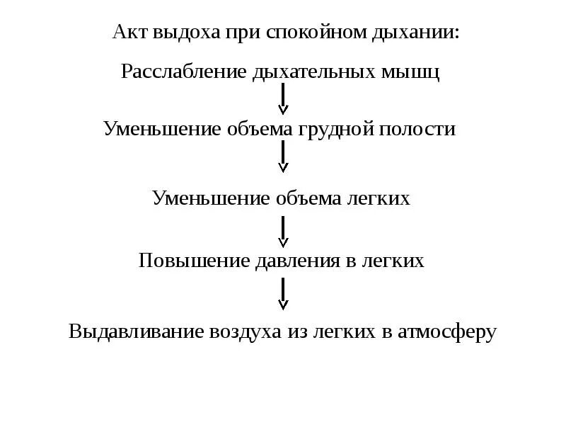 Последовательность дыхания у человека. Биомеханика актов вдоха и выдоха. Биомеханика дыхательных движений физиология. Биомеханика вдоха и выдоха физиология. Последовательность вдоха и выдоха.