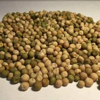 Зеленые круглые семена
