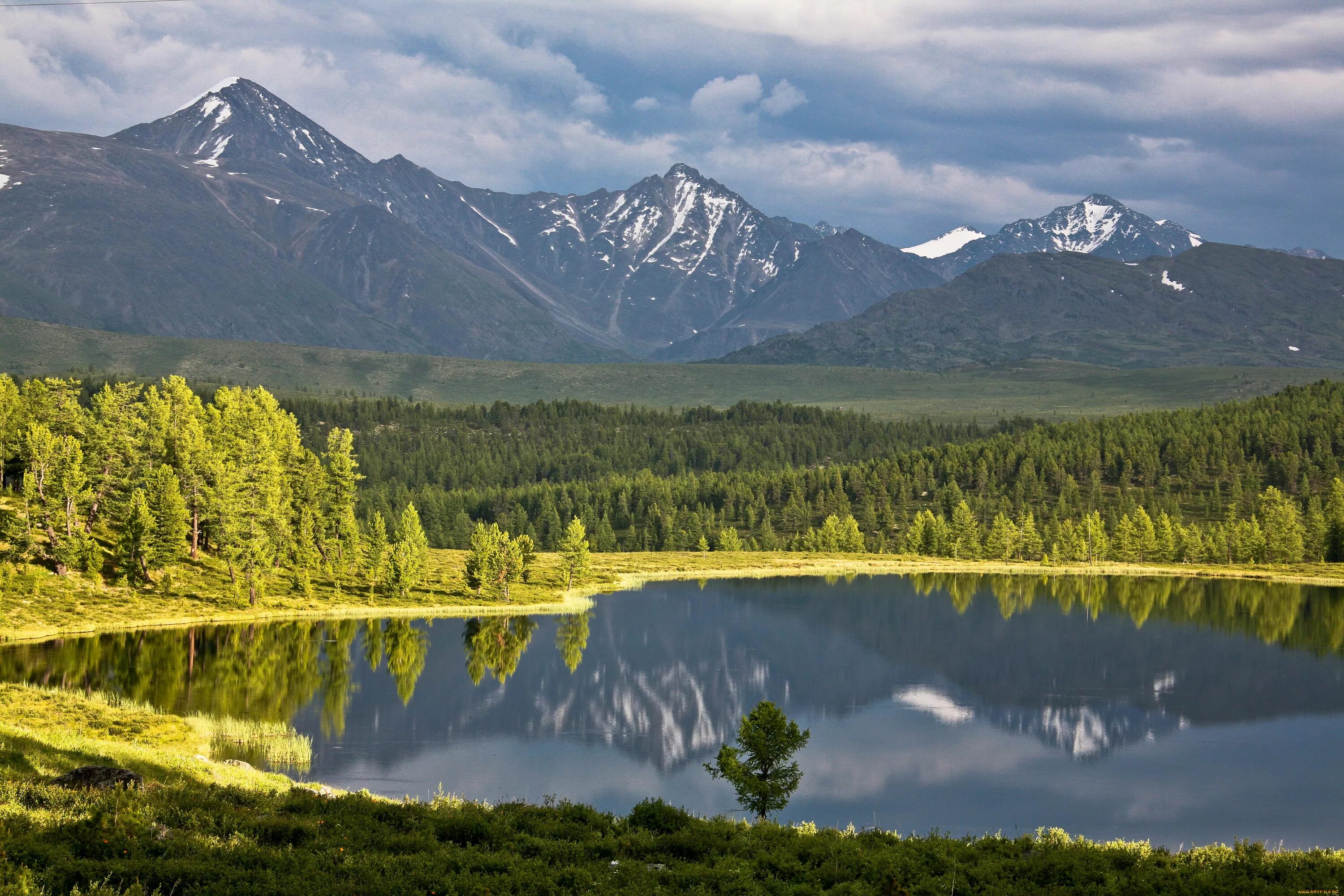 Путешествия природа россии. Кучерлинские озёра, Алтай. Алтайский край горный Алтай. Киделю озеро Алтай. Озеро ситр Алтай.