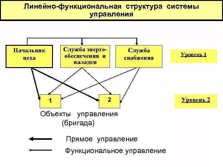 Звеном системы управления является. Линейно-функциональная система управления. Линейная структура функциональная линейно-функциональная. Линейно функциональная система управления схема. Линейно функциональный Тип управления.