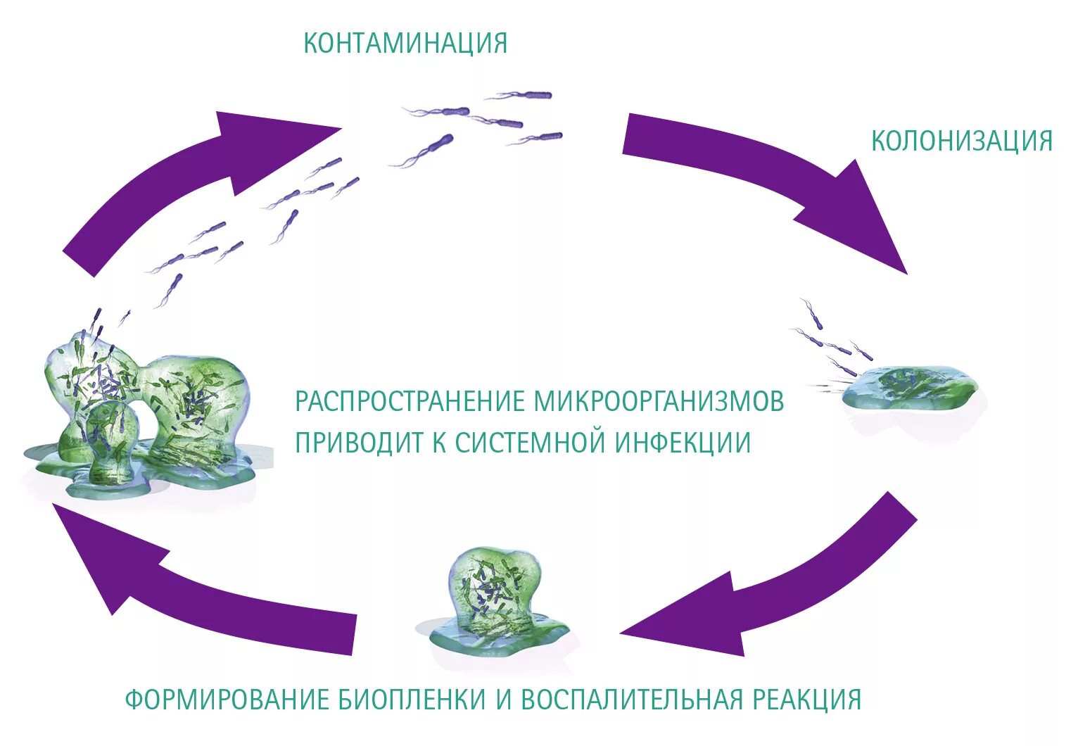 Контаминация что это. Контаминация. Контаминация микроорганизмами. Контаминация примеры. Контаминация это в медицине.