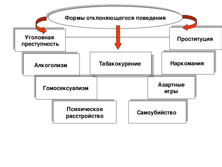 Формы поведения уроков. Формы поведения уроков