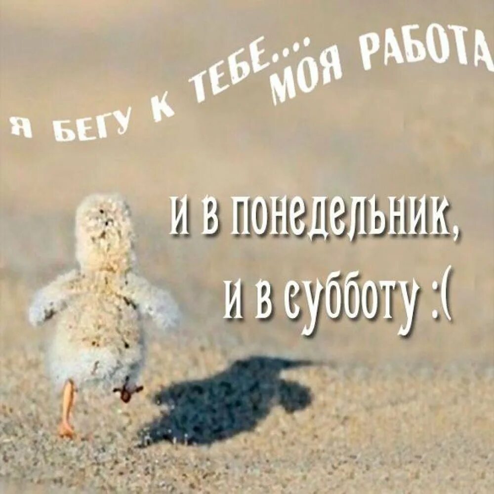Доброй рабочей субботы картинки прикольные. Поздравляю с рабочей субботой. бегу на работу картинки. открытки с рабочей субботой прикольные. доброе утро рабочая суббота.