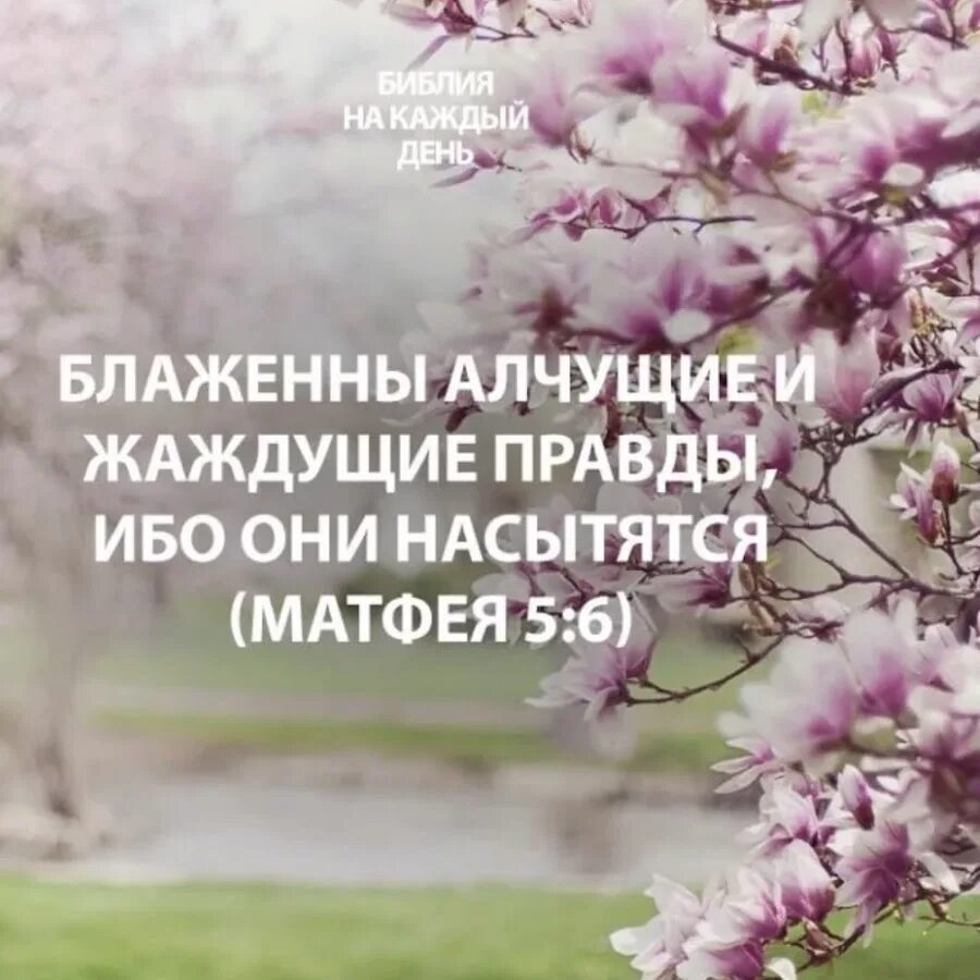 Алчущие и жаждущие правды. Блаженны алчущие и жаждущие правды. блаженны алчущие и жаждущие правды ибо они насытятся. блаженны алчущие правды. блаженны алчущие и жаждущие правды ибо они насытятся картинки.