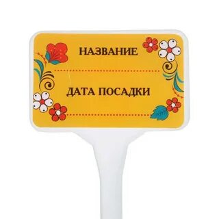 Название дата посадки