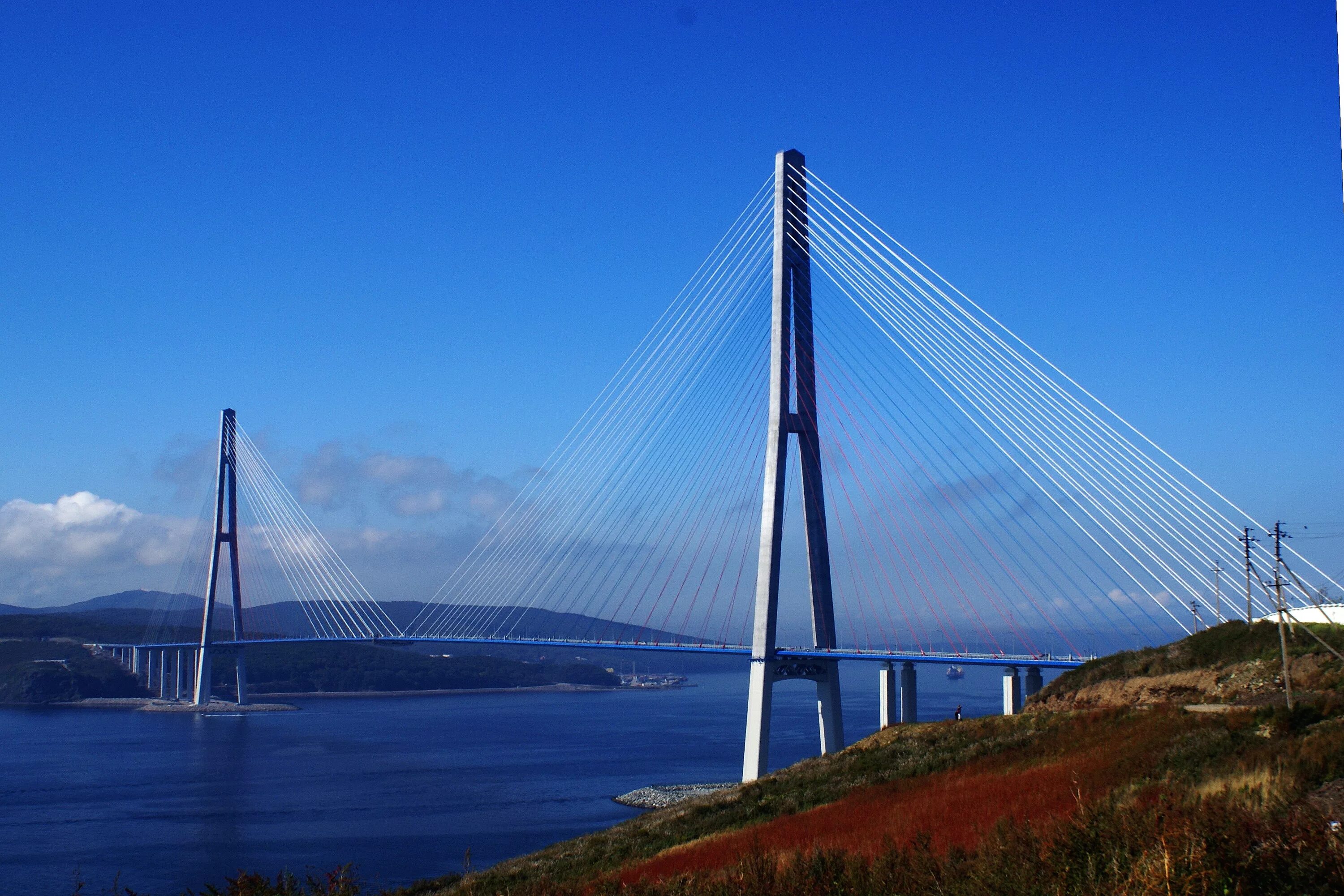 Длина моста на остров русский. Мост на остров русский во Владивостоке. Вантовый мост Владивосток. Вантовый мост на остров русский. Русский мост — вантовый мост.