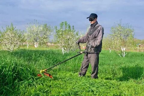 Чем быстро скосить