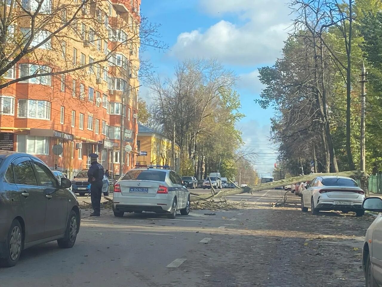 Сирена в туле. В туле упали леса. тула авария на улице шухова. тула авария 21 мая на улице шухова, упало дерево.
