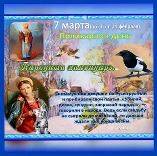 Приметы на 7 ноября 2023