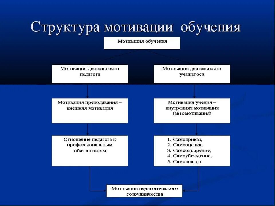 Особенности мотивации учащихся. Мотивы учебной деятельности обучающихся. Стимулирование учения.. Структурные компоненты мотивации младшего школьника. Мотивы учебной деятельности школьников. Структура учебной деятельности мотивы учения.