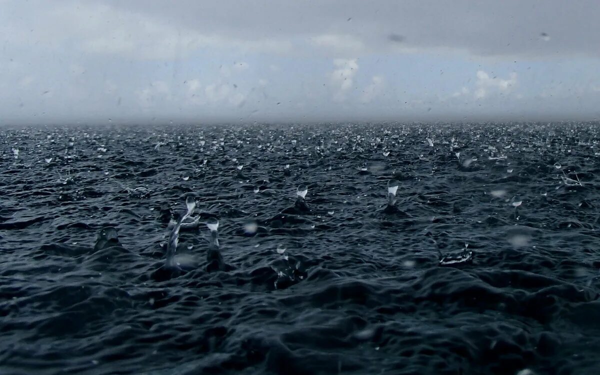 У берега океанов осадков. Берег моря шторм. У берега океанов осадков. Дождь над морем. Дождь на море.