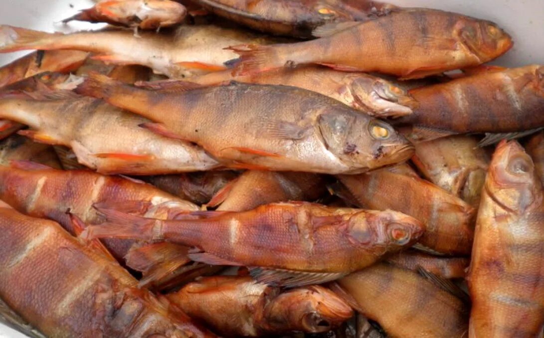 Копченая рыба куршская коса. Рыба вяленая холодного копчения. Иваси рыба копченая. Дори рыба горячего копчения. Навага горячего копчения.