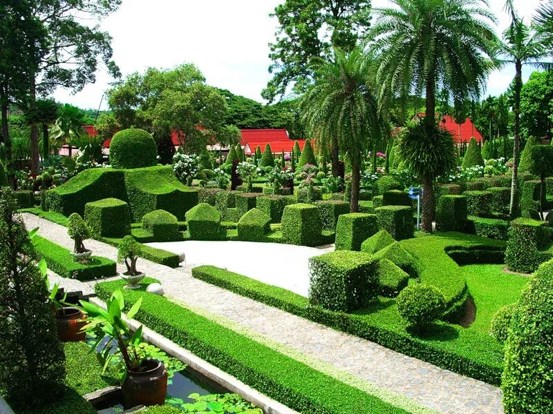Сад Нонг Нуч в Паттайе. Парк в Тайланде Нонг Нуч. Ботанический сад Паттайя. Парк Нонг Нуч орхидеи.