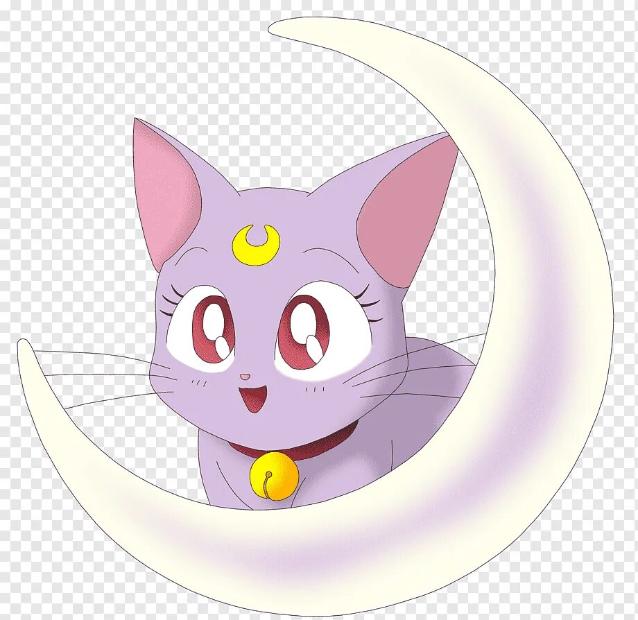 Мун кошка. Sailor Moon Луна кошка. Кошка Луна из Сейлор Мун. Сейлормун Сейлор Луна кошка. Сейлормун кошка Луна персонажи.