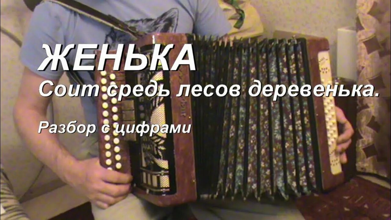 Слова стоит средь лесов деревенька. Слова песни Женька стоит средь лесов. Песня обойдусь без слов