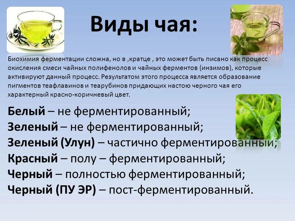 Сколько можно заваривать зеленый чай. Виды чая. Чача виды. Сорта зеленого чая. Основные виды чая.