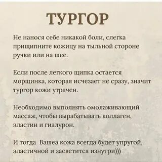 Что такое тургор у растений