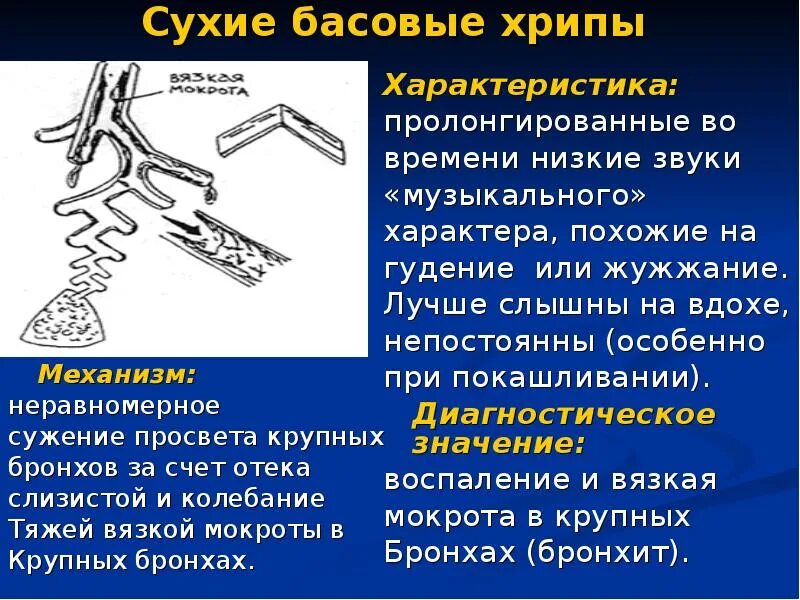 Хрипы в легких при дыхании при кашле. Сухие свистящие хрипы синдром. Характеристика хрипов. Сухие басовые хрипы. Сухие хрипы классификация.