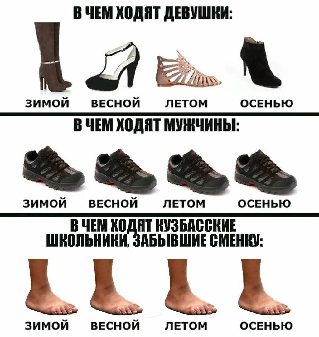 Высокие разновидности женских и мужских голосов. Туфли прикол. Смешная обувь. Смешные названия обуви. Шутки про обувь.