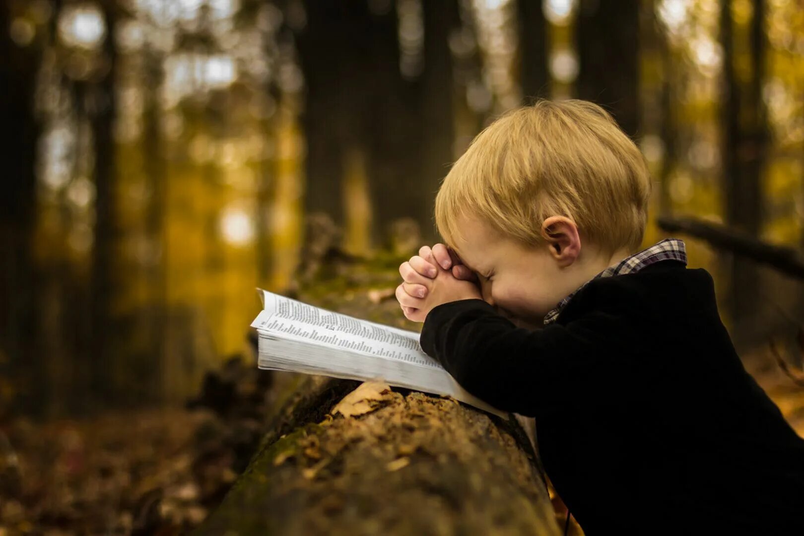 Сын природы читать. Библия для детей. Мальчик с Библией. Дети читают Библию. Человек молится.