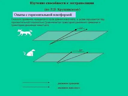 Горизонтальный опыт
