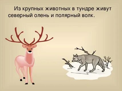 Как говорят олени