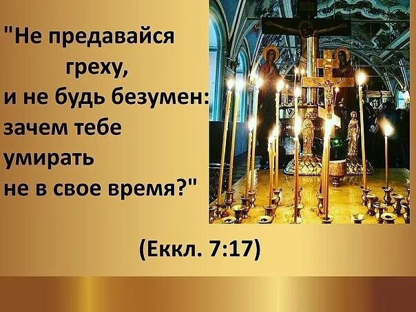 поклонение меняет все. безумный богач. хочется помереть. самый любимый мальчик. не предавайся греху и не будь безумен зачем.