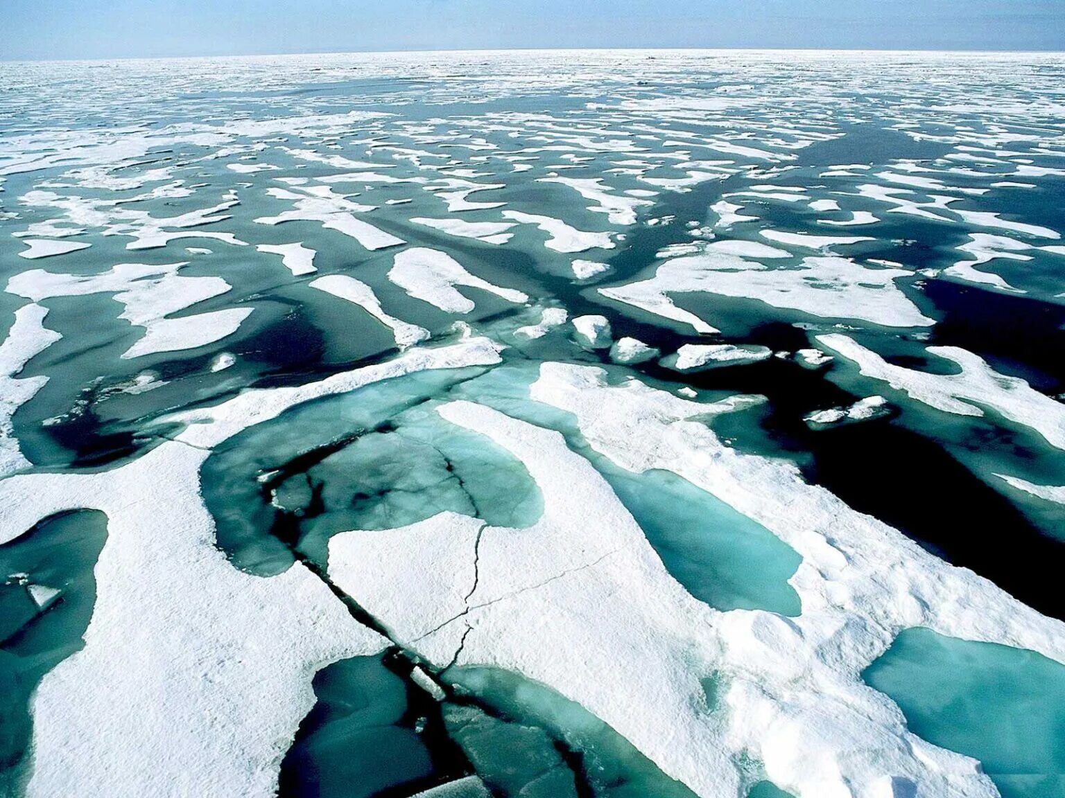 Северный Ледовитый океан Восточно-Сибирское море. Арктика Северный Ледовитый океан. Северный Ледовитый океан лед море. Льды Северного Ледовитого океана.