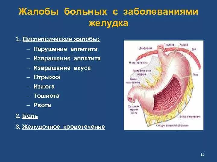 Жалобы пищевода. Жалобы пациентов при заболеваниях органов ЖКТ. Жалобы больного при заболеваниях пищеварительной системы. Жалобы больных с заболеваниями пищеварение система.. Жалобы пациентов при заболеваниях желудка.