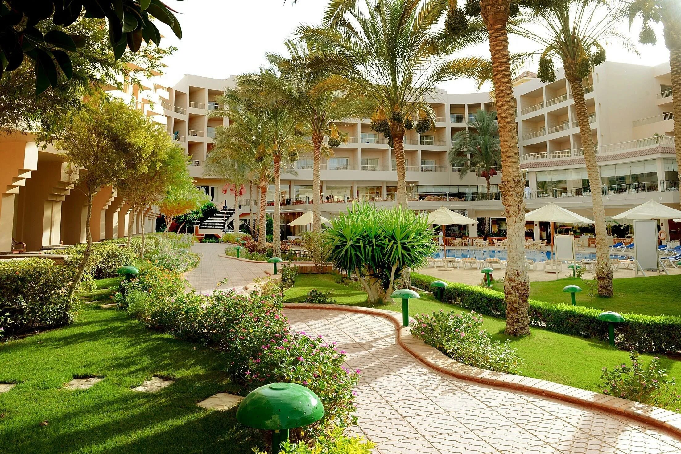 Sea star beau rivage 5 египет. Египет,Хургада,Sea Star beau Rivage. Sea Star beau Rivage Hotel Hurghada 5*. Sea Star beau Rivage 5 сайт отеля.