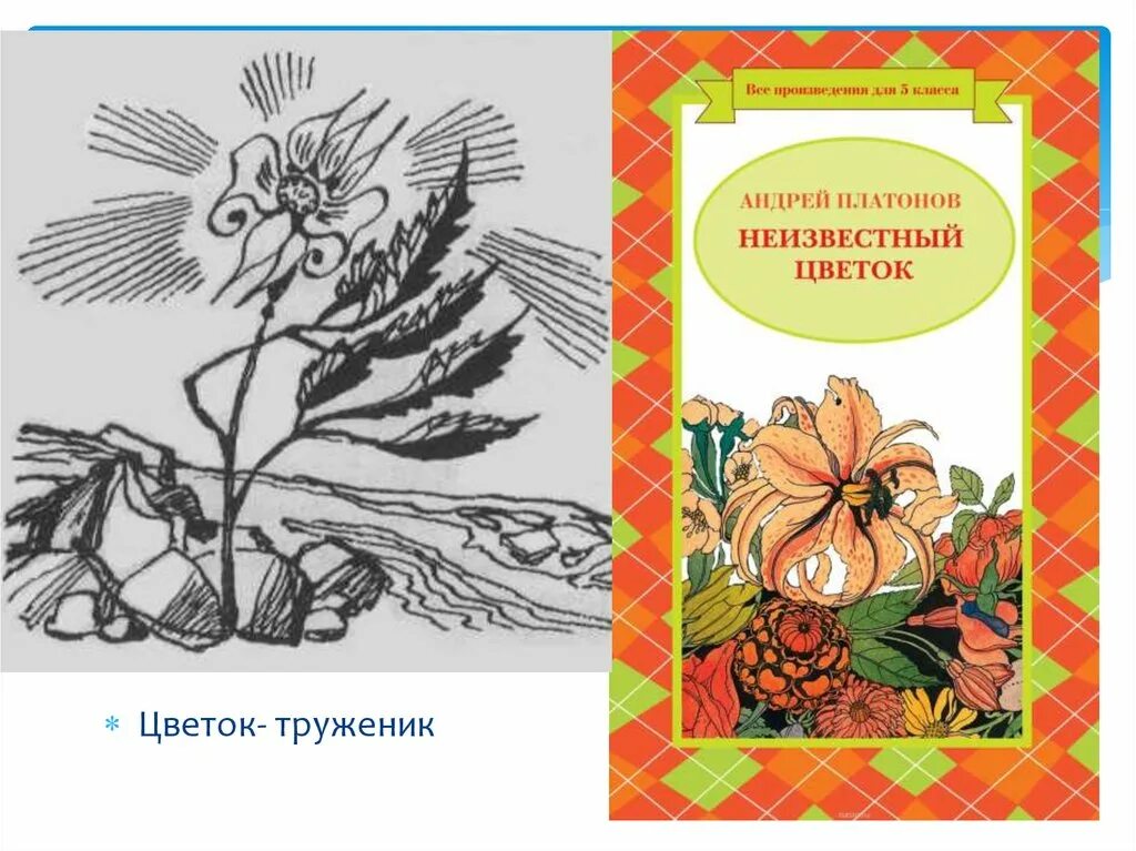 Платонов земля читательского дневника. Книга Платонова неизвестный цветок. Неизвестный цветок Платонов иллюстрация к сказке.