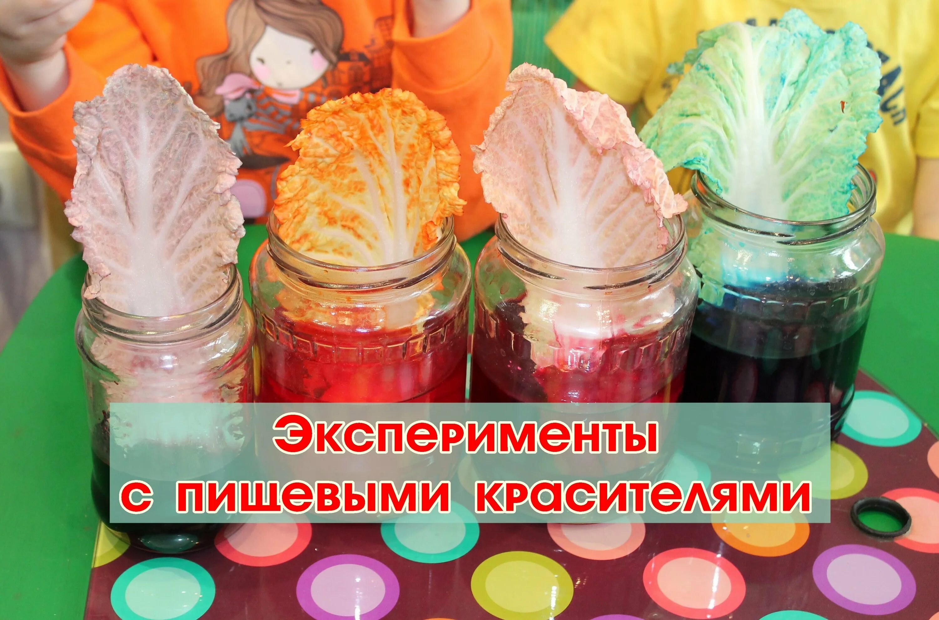 Работа красителей