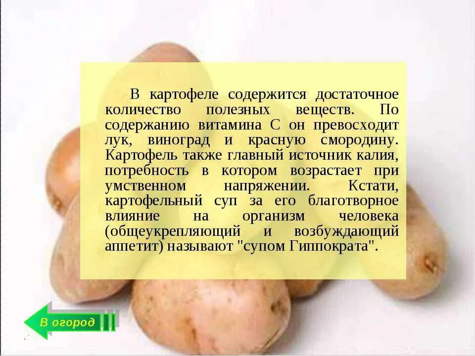 Что содержится в кожуре. Витамины в картофеле. Полезные вещества в картошке. Какие витамины содержатся в картофеле. Какие полезные вещества содержатся в картофеле.