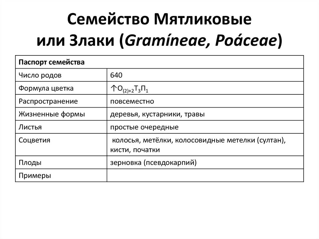 Формула цветка семейства злаки Мятликовые. Формула цветка злаки Мятликовые. Семейство злаковые таблица