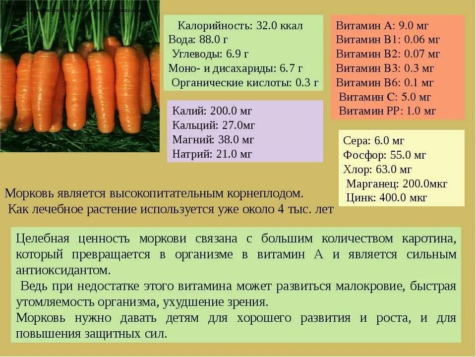 В каком количестве можно собираться. Витамин а в моркови на 100г. Пищевая ценность моркови на 100 грамм. Морковь витамины содержит. Полезные вещества в моркови.