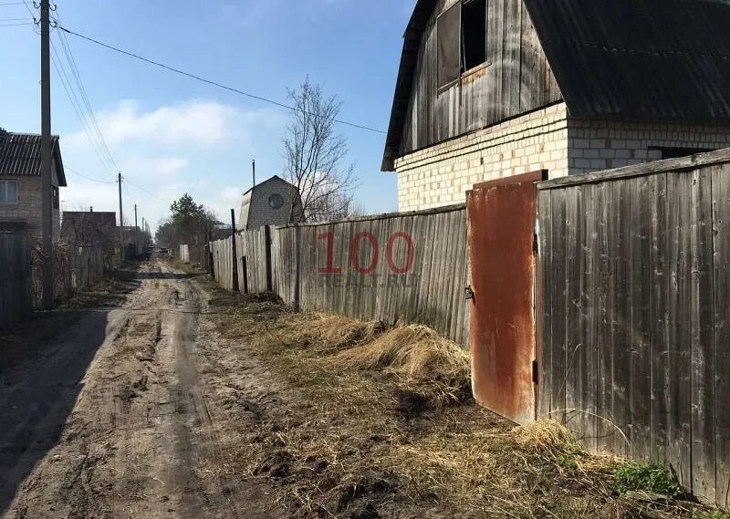 Сайты снт воронежа. СНТ сосна Воронеж. Березовка дачи Воронеж. СНТ сосна Воронеж 13 участок. СНТ сосна Воронеж фотографии.