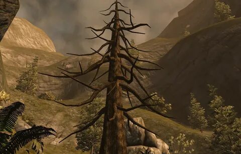 Divinity 2 руны