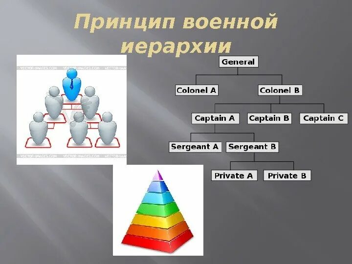 Иерархия ошибок. Флотская иерархия. Иерархия с#. Иерархическая пирамида животных. Иерархия мужчин.