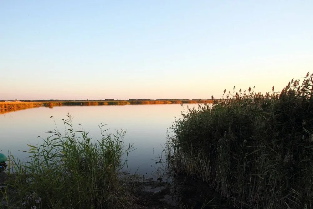 Чумашки Купинский район. Село Чумашки Купинского района. Природа Здвинского района Новосибирской области. Чумашки озеро. Алексеевка здвинского района новосибирской области