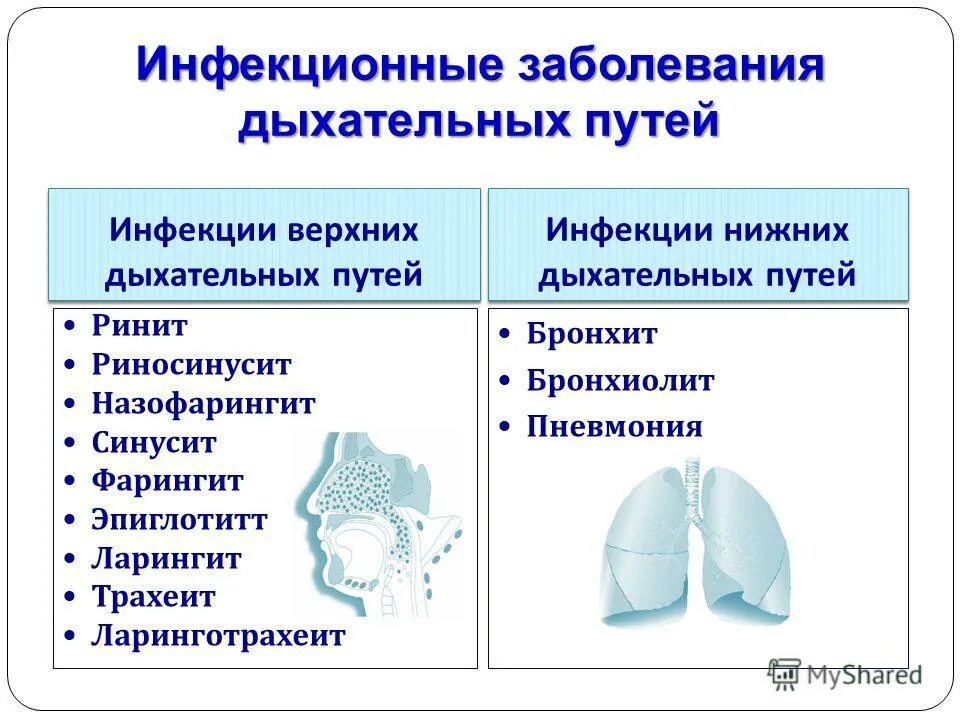 Тест заболевания верхних дыхательных путей. Инфекции верхних дыхательных путей. Заболевания нижних дыхательных путей. Заболевания верхних и нижних дыхательных путей. Воспалительные заболевания верхних и нижних дыхательных путей..