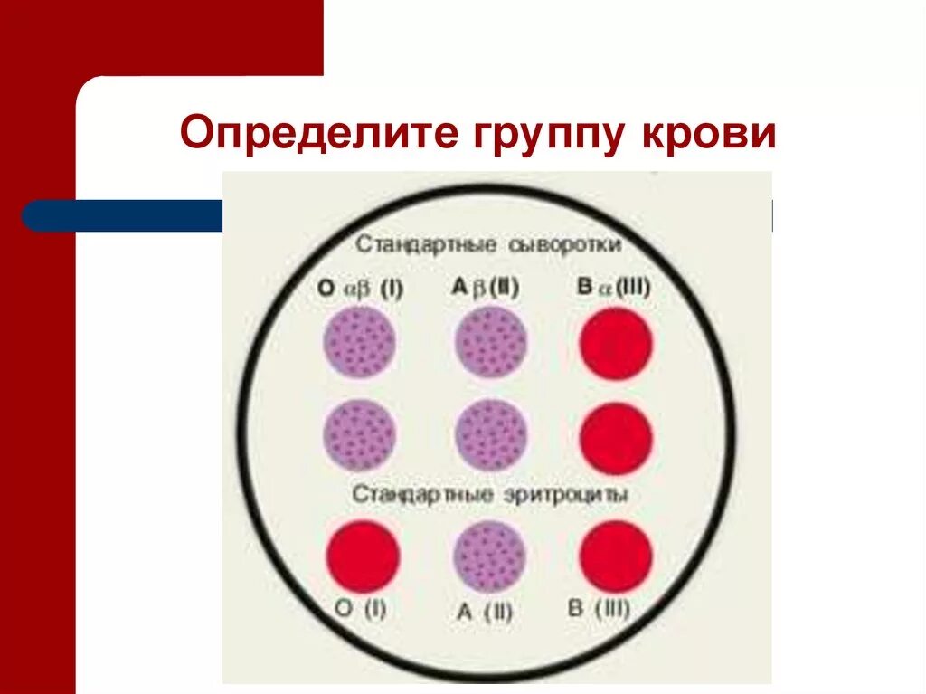 Резус фактор определяют тест