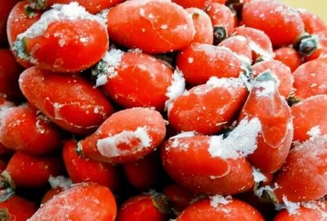 Можно ли собирать шиповник после заморозков