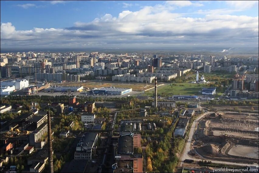 Весёлый посёлок Санкт-Петербург. Поселок веселый Дыбенко 28. Поселок веселый Ленинградская область. Муниципальное образование веселый поселок. Поселок веселый улица