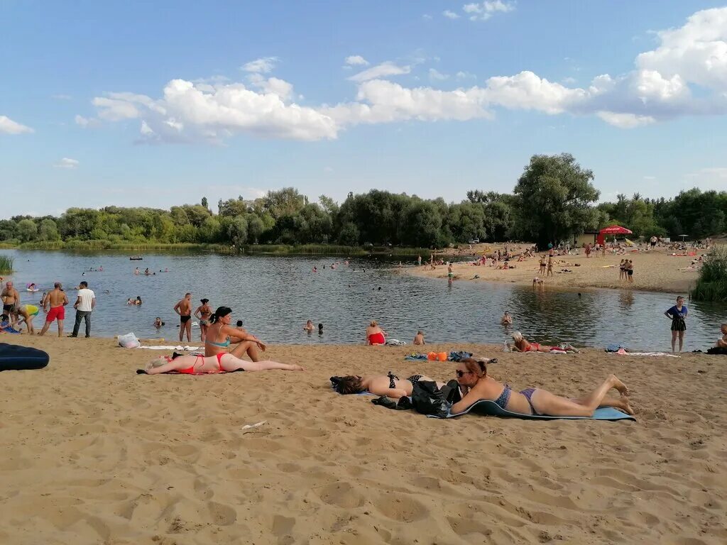 Сосновый бор ленинградская область нудиский пляж. Пляж бора бора воронеж. Отдых с сосновом бору воронежской. Пляж сосновый бор воронеж. Сосновый бор усманка воронеж.