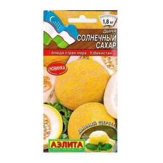Дыня медок